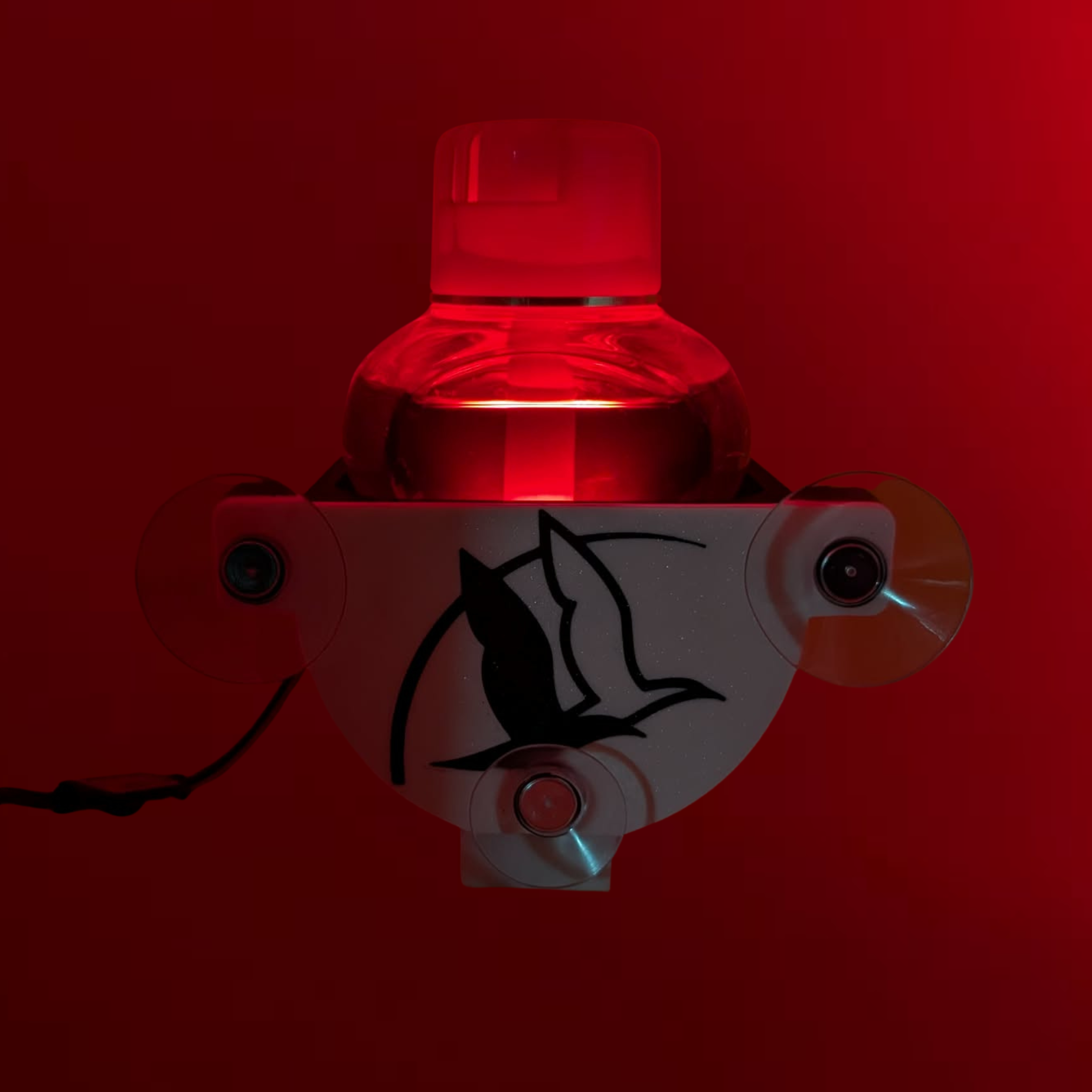 support pour poppy charente maritime avec led