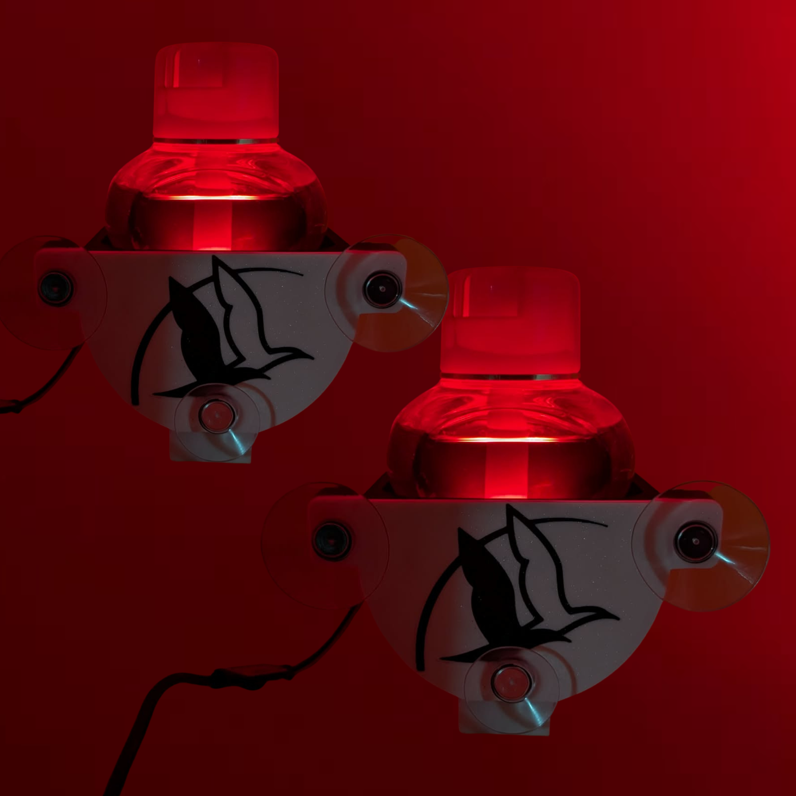 support pour poppy charente maritime avec led x2